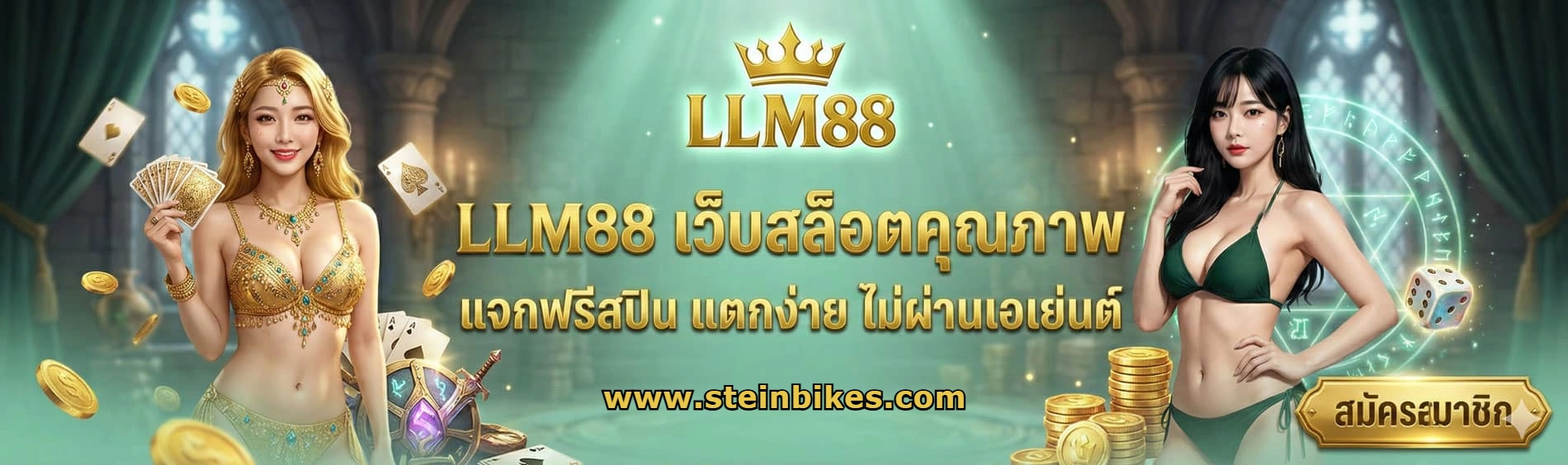 llm88